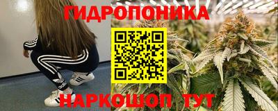 дмт Долгопрудный