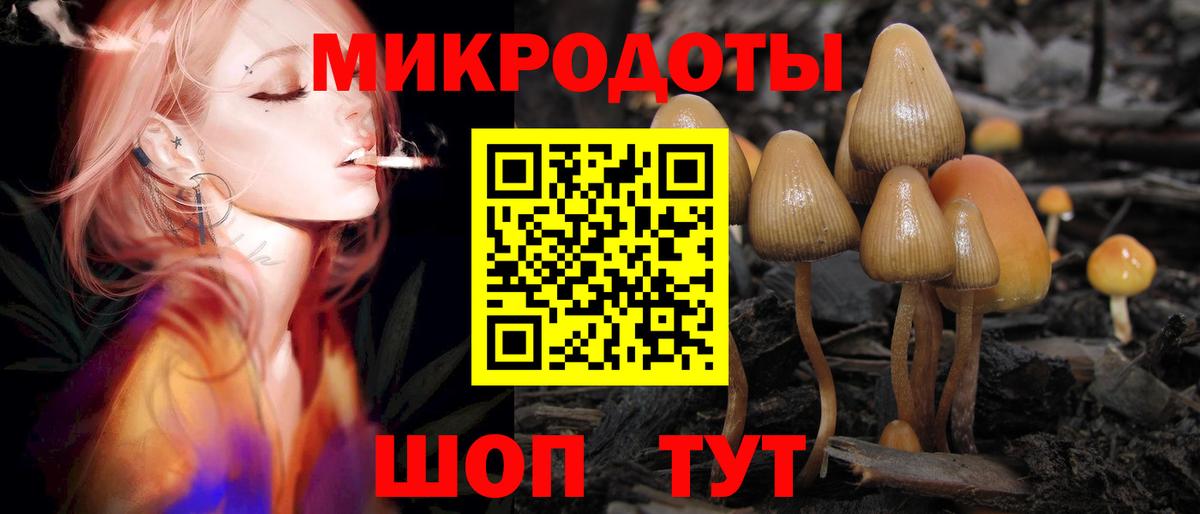 Галлюциногенные грибы прущие грибы  Галлюциногенные грибы мицелий  Всеволожск  Вход с VPN 